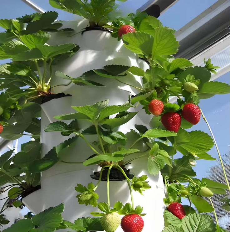 Модульная гидропонная система  – обзор и цена Urban Farming Hydroponics