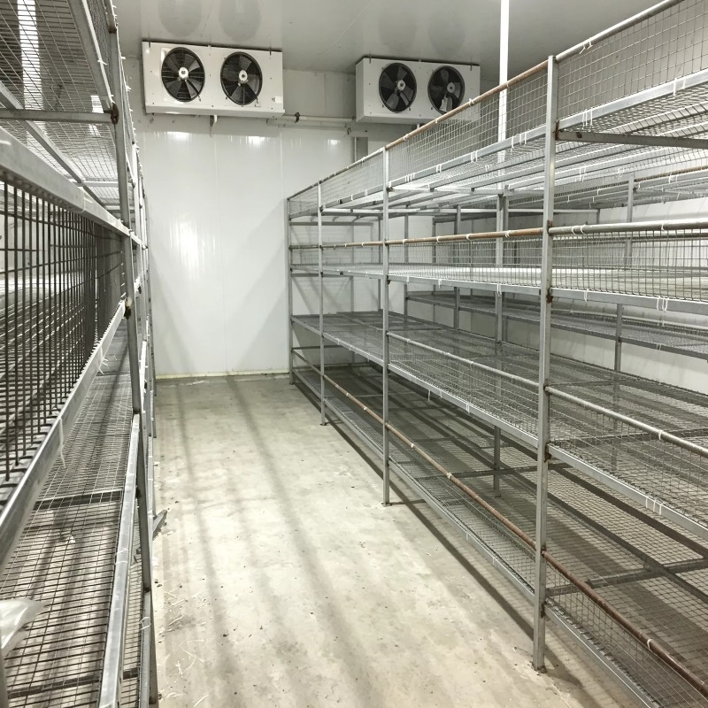 Гидропонная контейнерная ферма – обзор и цена Urban Farming Hydroponics